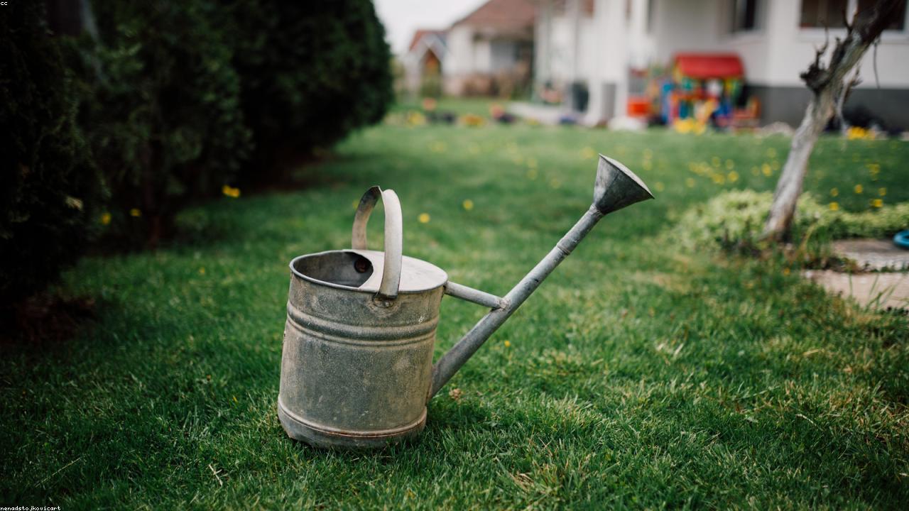 Grünwerk Garten- & Landschaftsbau – Gartenpflege, Pflasterarbeiten und Zaunbau im Kreis Lippe